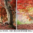(주)사람과풍경