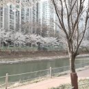 계양임광그대가아파트 티스토리