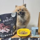 주식회사 알파사료 | 강아지 관절 연골 사료 기호성 좋은 사료 국개대표 올바른 끼니 알파, 비제오 조인트파지 급여 후기