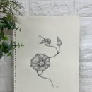 보태니컬&팝아트 | 중랑중화풀잎문화센터 | 나팔꽃 한 송이에 담긴 집중력 🌿 보태니컬 입문반 수강생 작품 이야기