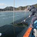 벌교가구 이미지
