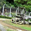 춘양농장 이미지