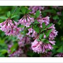 야단법석 이미지