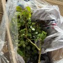 상록수영농조합법인 이미지