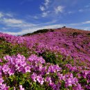 은빛축산 이미지