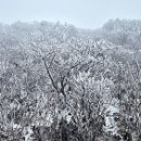 ‘단풍 절정’ 설악산, 정상에는 ‘첫눈’ 관측까지 이미지