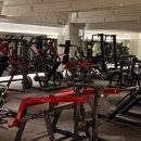 레디 바디 이미지