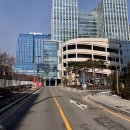 도리앤펫 이미지