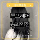 자연염색박물관 | 잠실 송파역 헬리오시티 미용실 염색 잘하는 곳 가을 겨울 톤다운 염색 블랙 3레벨 루프헤어 송파역점