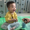 호호아이 이미지