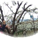 푸른농원 이미지