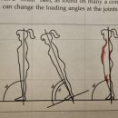 척추자세교정 걷기테라피 이미지