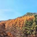 치악산둘레길 4코스 노구소길 이미지