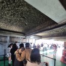 재연 농장 | 성심당 케익부띠끄, 샌드위치정거장 주말 웨이팅 방문 후기