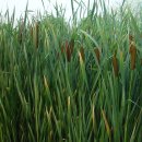 여문2로L 이미지