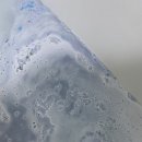 네이쳐 위클리 이미지