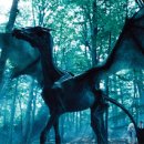 Harry Potter and the Order of the Phoenix (Harry Potter #5) 딴지후기
