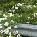 해변의 바람 이미지