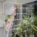 멀티존 | 일산 탄현 대형키즈카페 월드킹 고양점 종일권 할인 후기