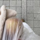 범용운수 | 1월 1주차: 뭘 했다고 2025?