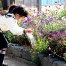 아뜰리에 7 이미지