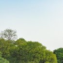 대건타워산업