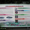 토종남원추어탕