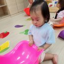춤추는도넛 Daum카페
