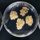 향기나라 화장품 이미지