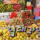 용두태권도스쿨 이미지