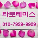 하모니여행사주