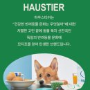 티어리베 이미지