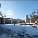 계산동 은행나무 이미지