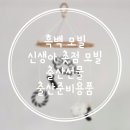 제이레나 스튜디오