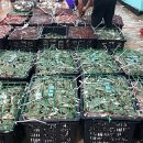 서해판매 이미지