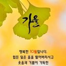 오늘도 빛나 이미지