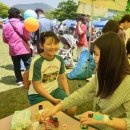 산삼주제관 이미지