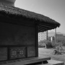 (사)푸른차문화연구원 이미지