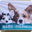 부산 금정구 홍법사 반려동물 템플라이프(강아지,고양이 동반/목줄필수)