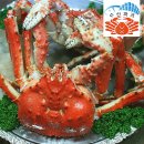 홈 베 이 킹 | [단 2일] 킹크랩싯가 역대급 폭락! 블루 킹크랩 + 러시아대게 가격 올해 최저가 도전 (feat. 수산파크)