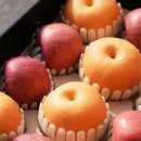 대구경북능금농협(청송) APC | 금(金) 사과 값을 잡아라, 농협이 내놓은 특별한 세트