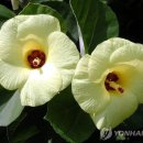호왕농장 | [여행/일상] 공주의 왕, 나태주 영접 후기