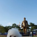 리젠타임 이미지