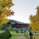 도동1리 마을회관 앞 | 대구사진찍기좋은곳 - 달성 도동서원 (유네스코세계문화유산 등재예정)