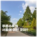 푸른수목원 카페 불두화 작약 병꽃나무 조팝 명소 주차정보