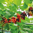 유유홍잠체험휴양마을 이미지