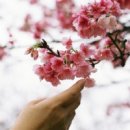 뽀스락뽀스락 이미지