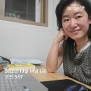 한미 인셀덤