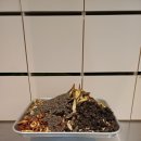 보제한의원 이미지