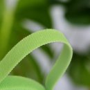 그린가든 | 식물벨크로 가든타이 15m 그린 후기